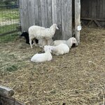 Photo taken by Daniel D