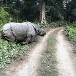 Rhino sighting during Jeep Safari | Photo taken by matthew h
