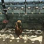 Photo taken by John David W