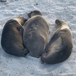 Photo taken by Lynette V