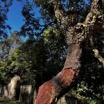 Photo taken by Dee C