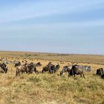 Photo taken by Julien C