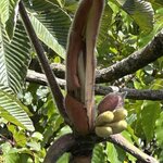 Photo taken by Bonnie Y