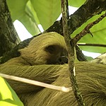 Photo taken by Michelle D