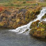 Photo taken by Andrew Z