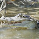 Photo taken by Joyce C