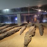 Photo taken by Kim M