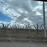 Photo taken by Madeleine S