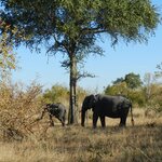 Photo taken by Linette B