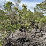 Photo taken by Lauren A