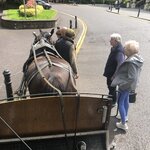 Photo taken by Helen C