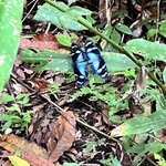 Photo taken by Sarah C