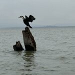 Photo taken by Balachandra D