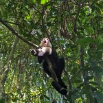 Photo taken by Jacob S