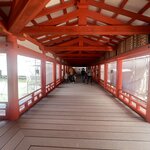 Photo taken by Kirti P