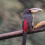 Photo taken by Jayme B