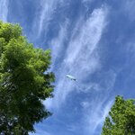 Photo taken by Barbara V