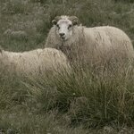 Photo taken by Jake B