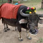 Photo taken by sandi l