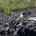 Photo taken by Meggan M