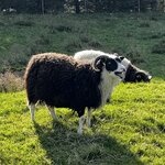 Photo taken by Adam H