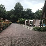 Photo taken by Michelle D