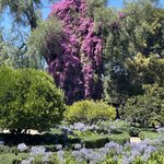 Photo taken by Amanda F