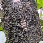 Photo taken by Rosemary S