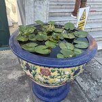 Photo taken by Anne M