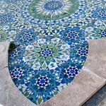 Photo taken by Vidya J