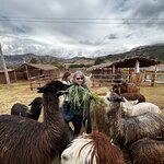 Photo taken by Stephanie S