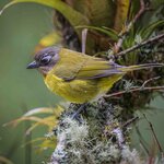 Photo taken by William A