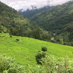 Photo taken by Joanna K