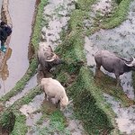 Photo taken by Tony W