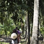 Photo taken by κατερινα κ