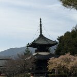 Photo taken by Ian M