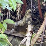 Photo taken by Blair H