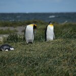 Photo taken by Marcia R