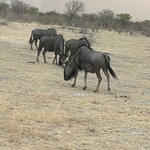 Photo taken by Nigel R