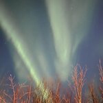 Photo taken by Jessica A