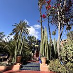 Photo taken by Logan J