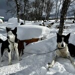 Photo taken by Ian A