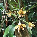 Photo taken by Kathy K