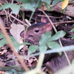 Photo taken by Brett F