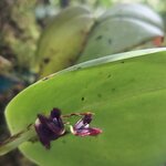 Photo taken by Kathy K