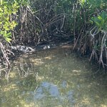 Photo taken by Imogen E