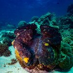 Photo taken by Nicholas P