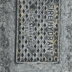 Photo taken by Tina D