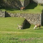 Photo taken by Bree J