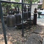 Photo taken by Shaula L